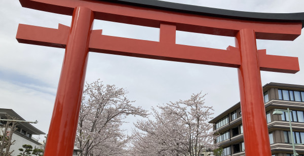 神奈川県
