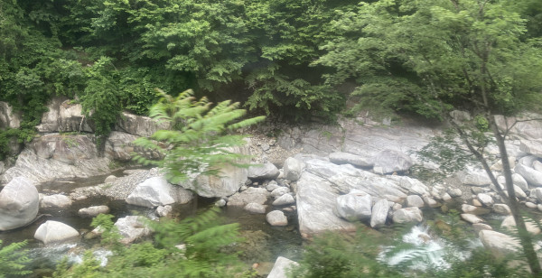 観光・レジャー 群馬県 渡瀬川