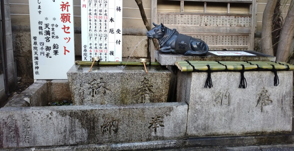 観光・レジャー 京都府 御所付近