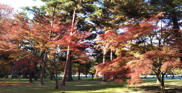 河原町・烏丸・大宮