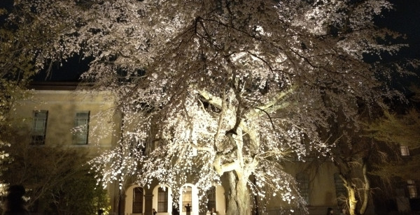 河原町・烏丸・大宮