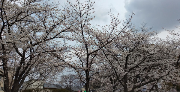 河原町・烏丸・大宮