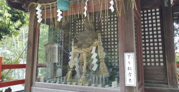 大原・鞍馬・貴船