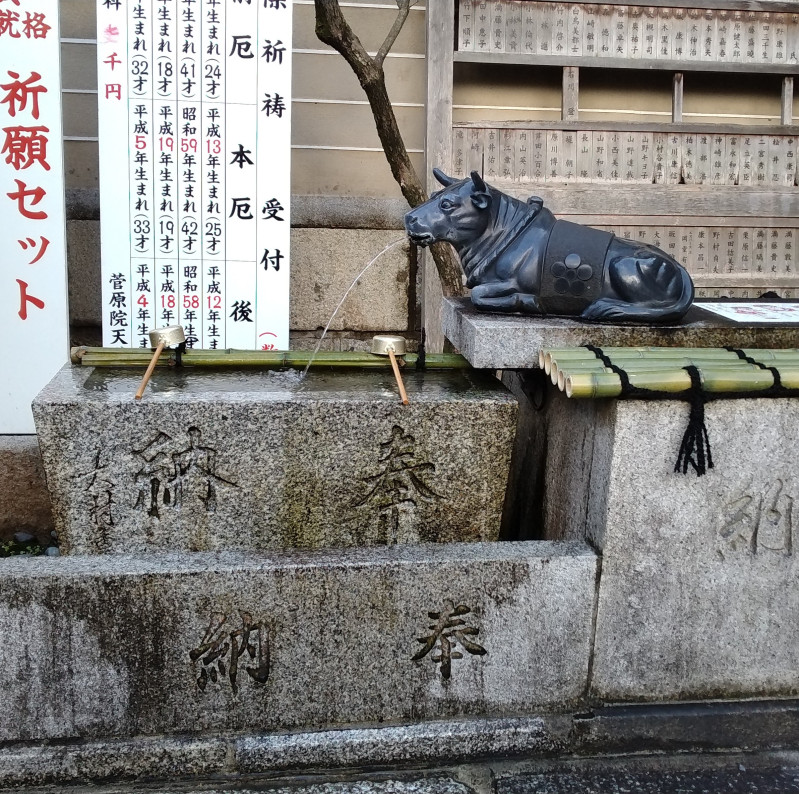 京都市