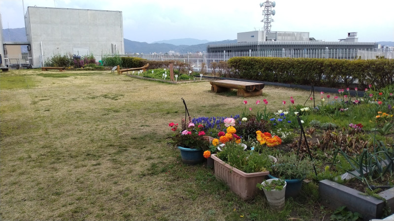 京都市