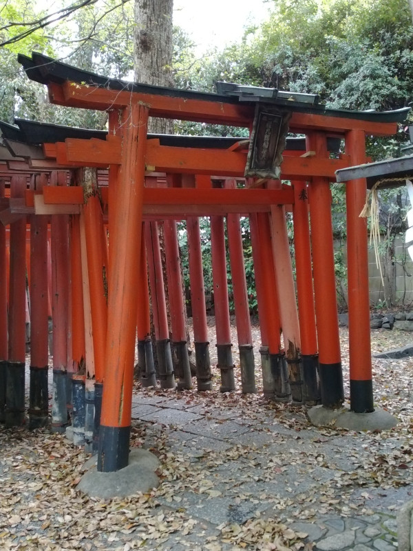 京都市