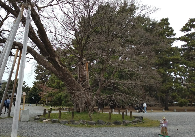 京都市