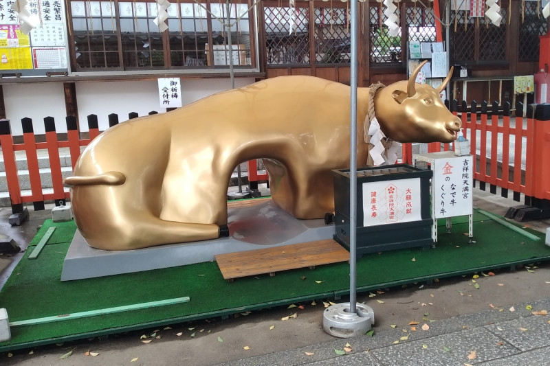 京都市