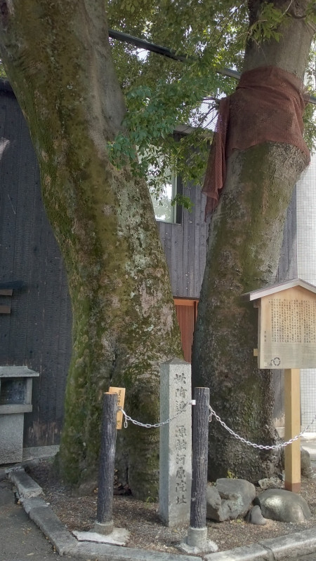 京都市
