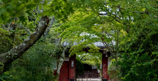 観光・レジャー 京都府 常照寺