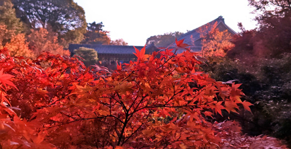 祇園・東山・北白川