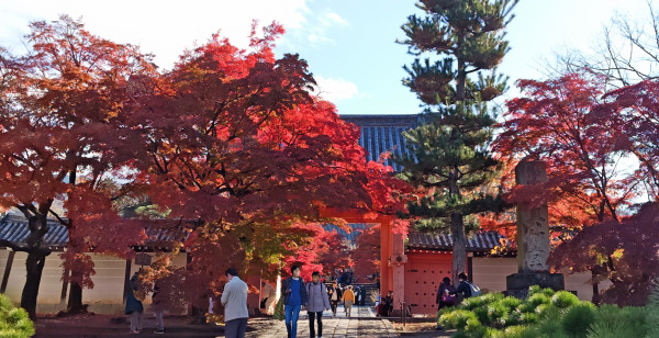 祇園・東山・北白川