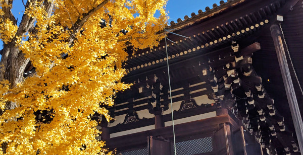 祇園・東山・北白川