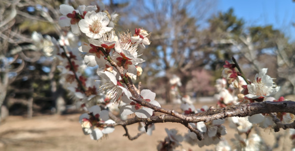 河原町・烏丸・大宮