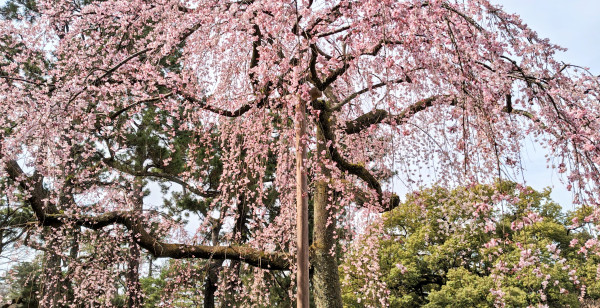 河原町・烏丸・大宮