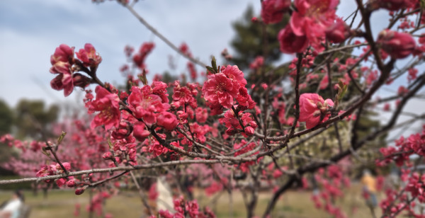 河原町・烏丸・大宮
