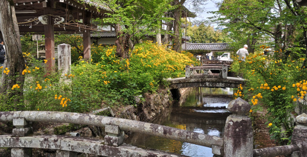 嵯峨野・嵐山・高雄