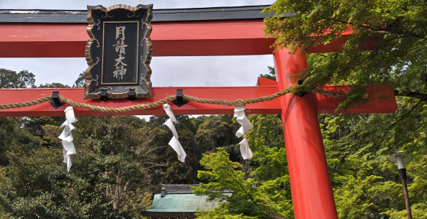 嵯峨野・嵐山・高雄