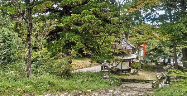 大津