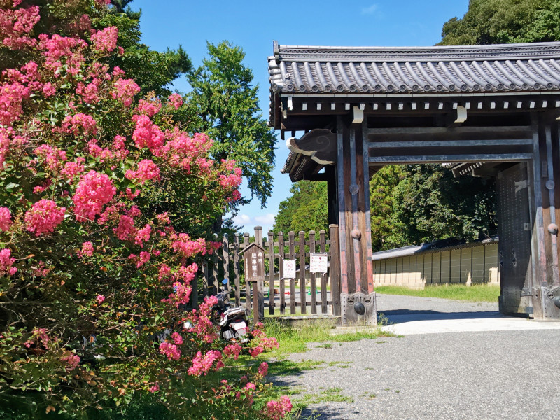 京都市