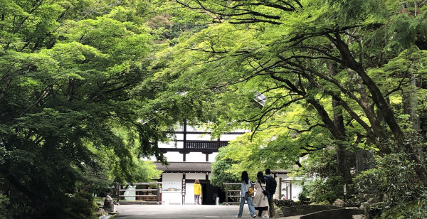 観光・レジャー 京都府 祇園・東山・北白川