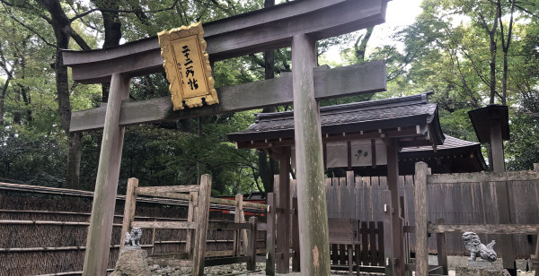 趣味・カルチャー 京都府 下鴨