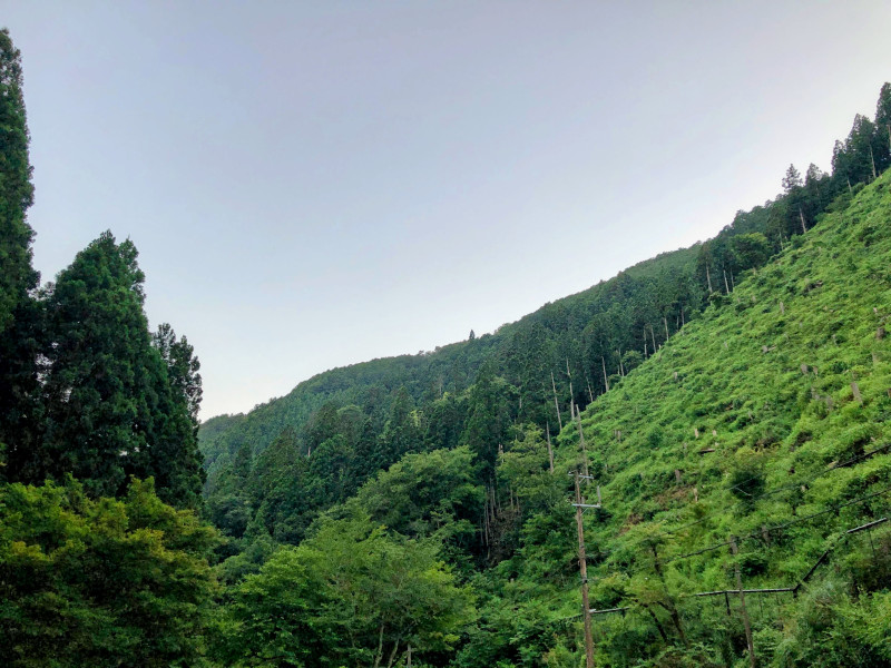 京都市