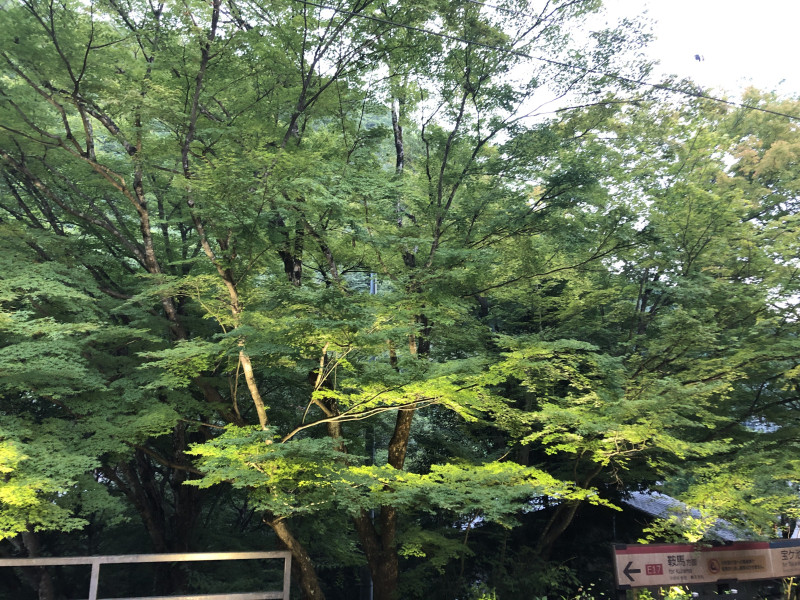 京都市