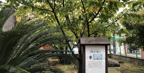 祇園・東山・北白川