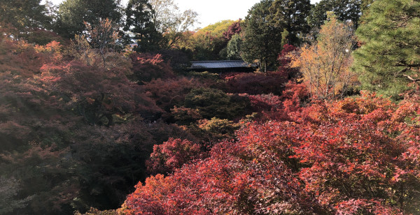 祇園・東山・北白川