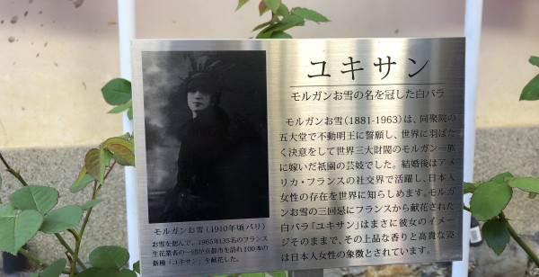 祇園・東山・北白川