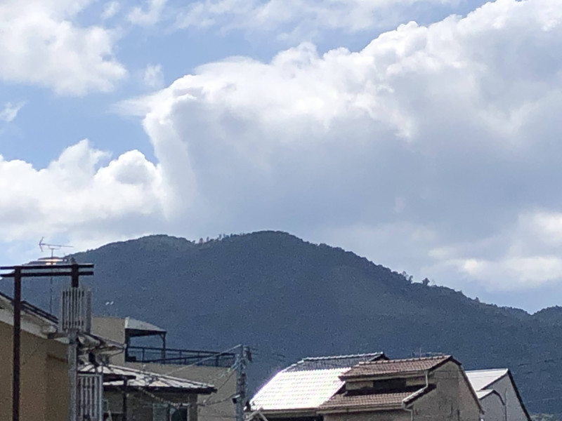 京都市
