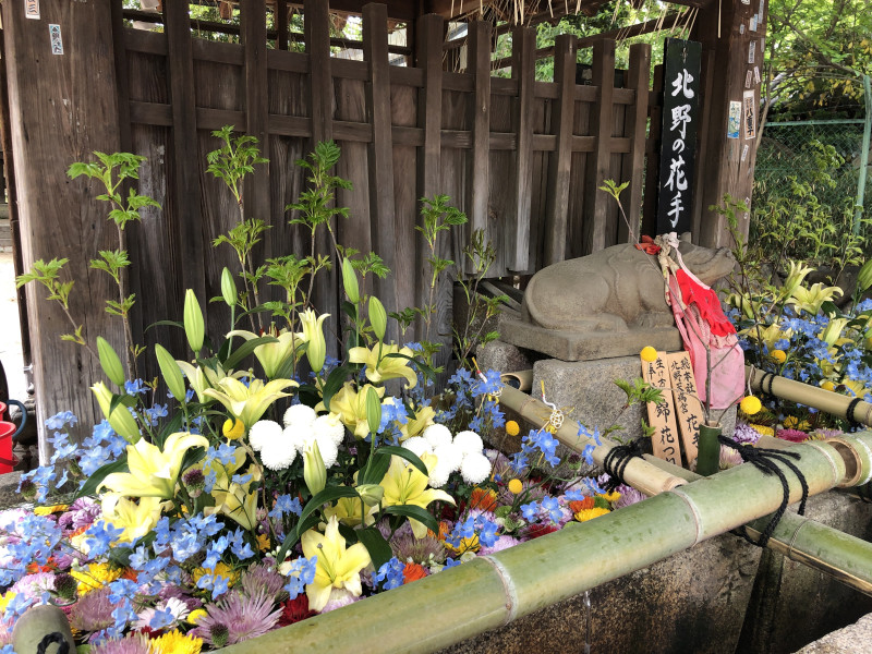 京都市