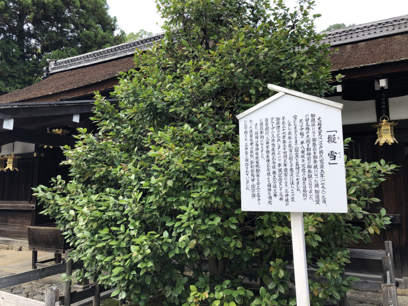 京都市