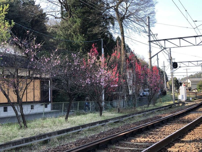 京都市