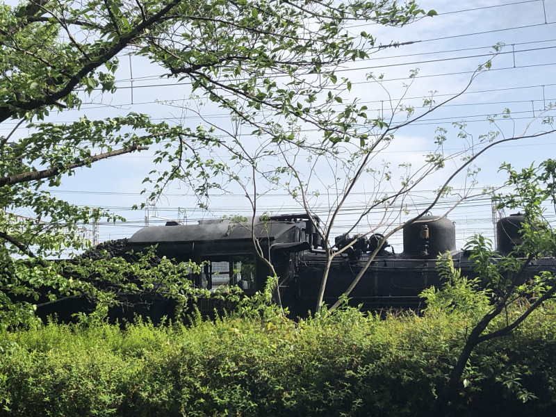 京都市