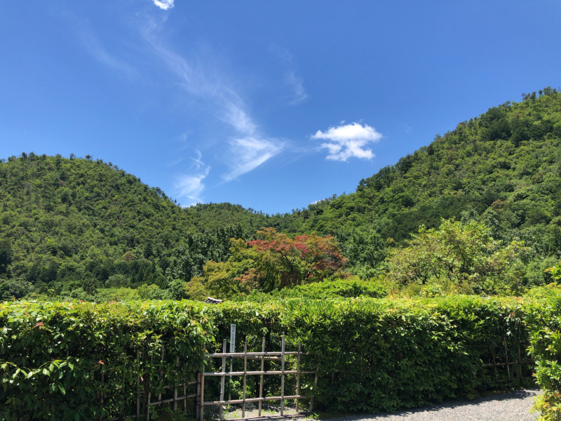 京都市