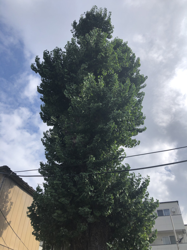 京都市