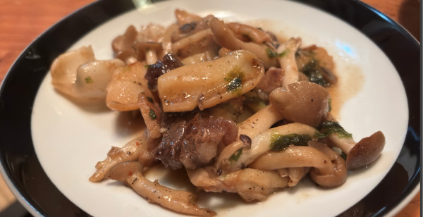 高知市・南国・香南