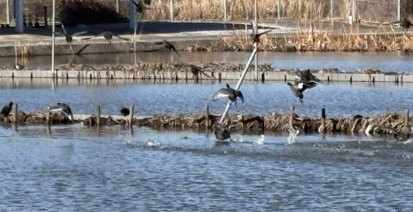つくば・土浦・取手