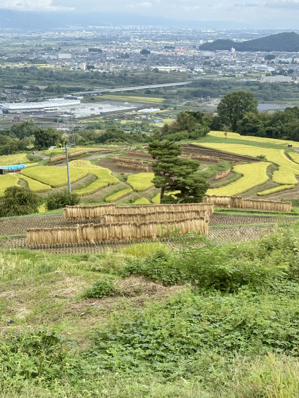 千曲市
