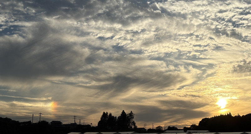 かすみがうら市