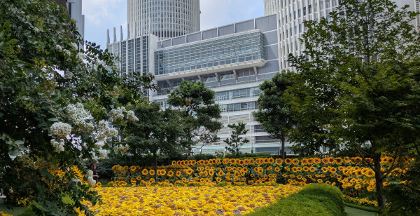 名古屋