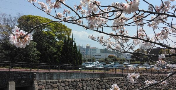 大分県