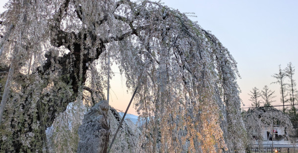 長野県