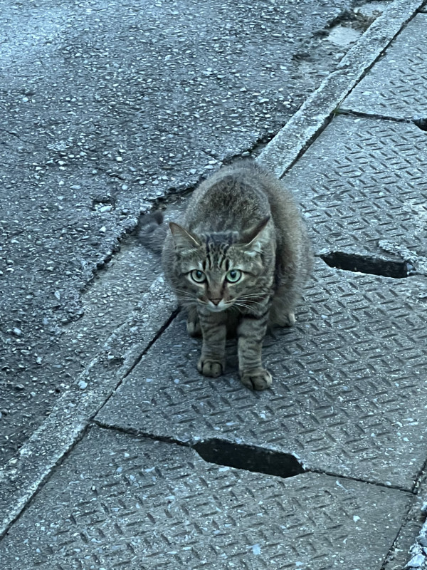 うるま市