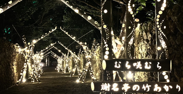 観光・レジャー 沖縄県 高志保