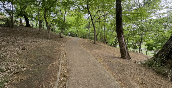観光・レジャー 東京都 戸山公園・箱根山