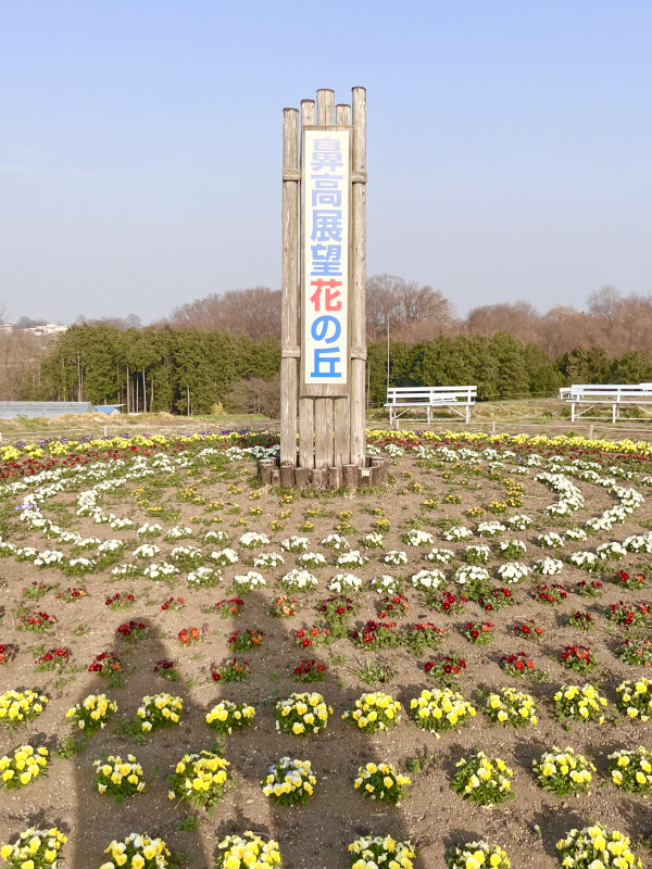 高崎市