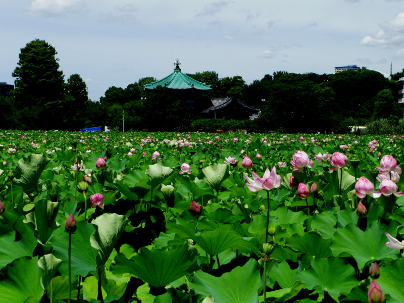 台東区